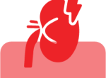 Kidney Issues Icon